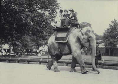 Drei Damen werden auf einem asiatischen Elefanten, geführt von einem Wärter, im Londoner Zoo, Mai 1914, geritten von Frederick William Bond